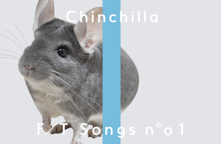 チンチラ – ボクのスキナモノ / THE FIRST TAKE