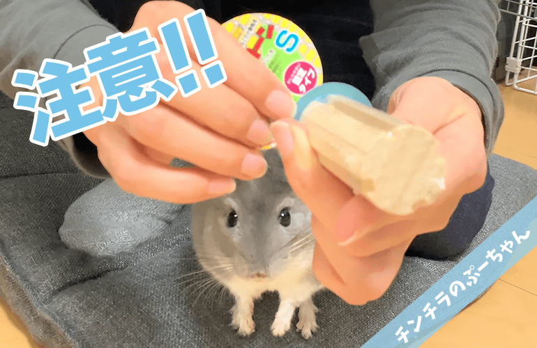 【注意】知らないと危険！小動物用かじり木「マルカン かじり木コーン」の正しい使い方【拡散希望】