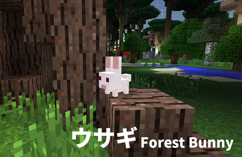 ウサギ(Forest Bunny)