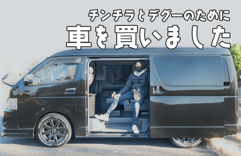 チンチラとデグーのために災害時に車中泊もできるカスタムハイエースを買いました！