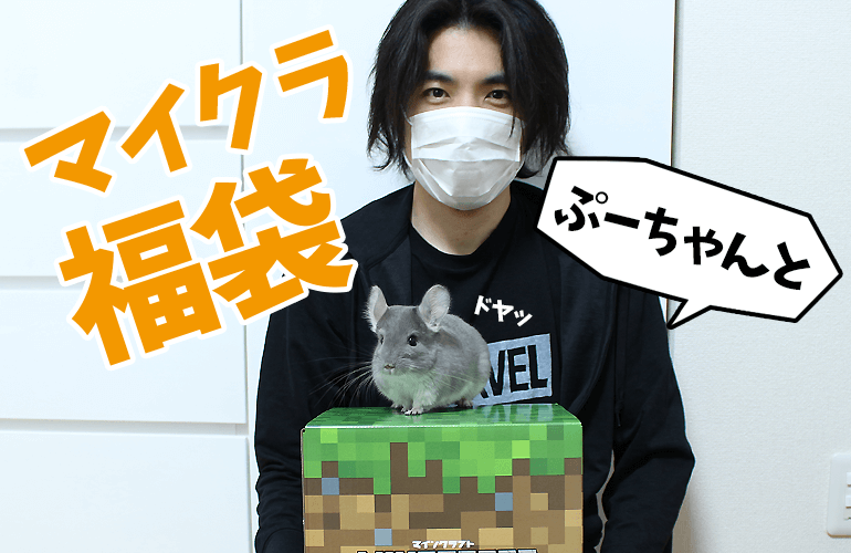 【2019年福袋開封】チンチラのぷーちゃんと一緒にマインクラフトの福袋を開封してみた！