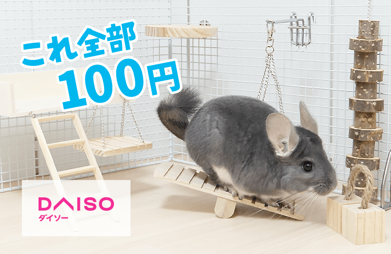 【100均】ダイソーの小動物用グッズで遊び場を作ったら最高すぎた【チンチラ・デグー・ハムスター】