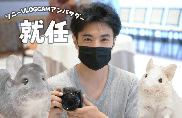 【ご報告】ソニーVLOGCAMアンバサダーに就任しました！