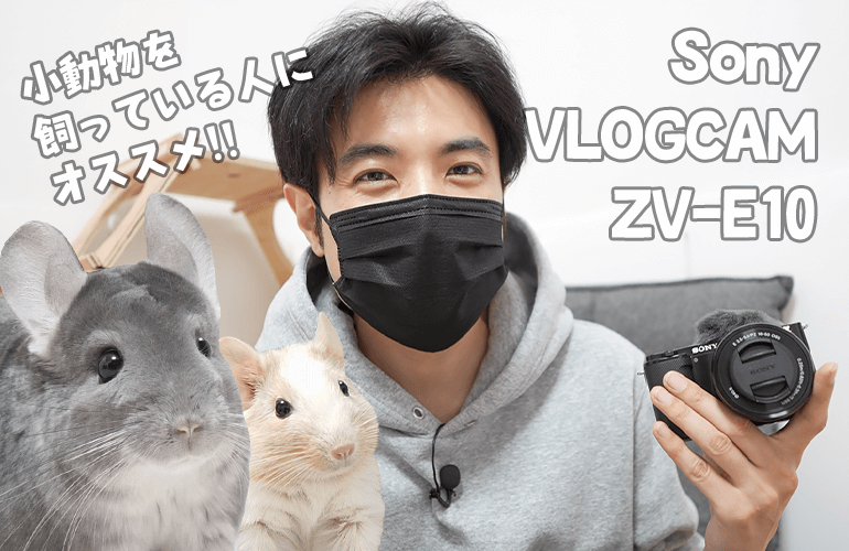 Sony VLOGCAM ZV-E10で小動物を撮影したら最高すぎた！