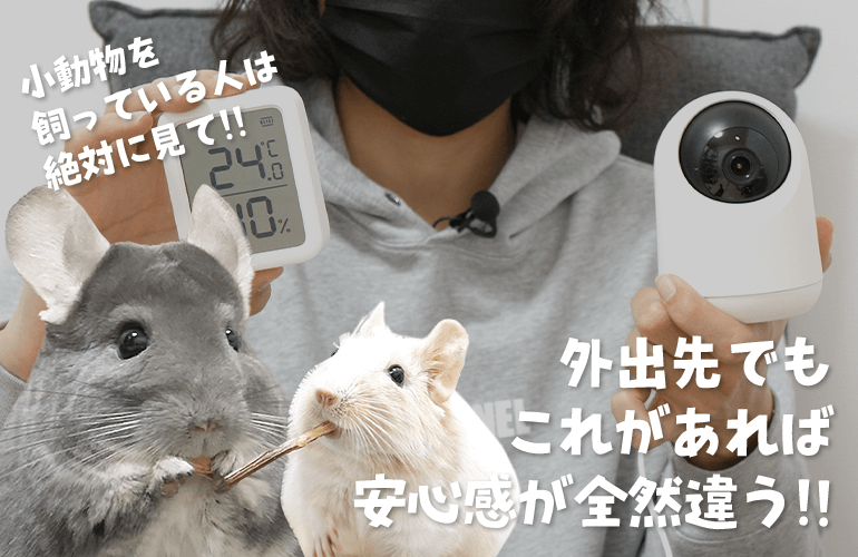【小動物を飼っている人は絶対に見て】新しくなったSwitchBotの温湿度計と見守りカメラが最高すぎる！