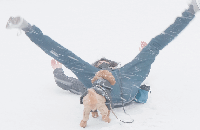 ふだん雪が積もらない地域に雪が積もるとこうなる【トイプードル】