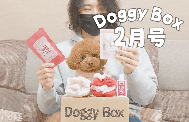 愛犬にバレンタインのプレゼント【ドギーボックス2月号】