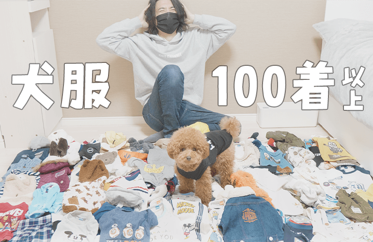 【悲報】愛犬の服が100着を超えて人間の生活するスペースがなくなりました【トイプードル】