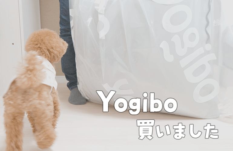 【ヨギボー】人をダメにするソファ Yogibo Zoola Mini を買ってみました【トイプードル】