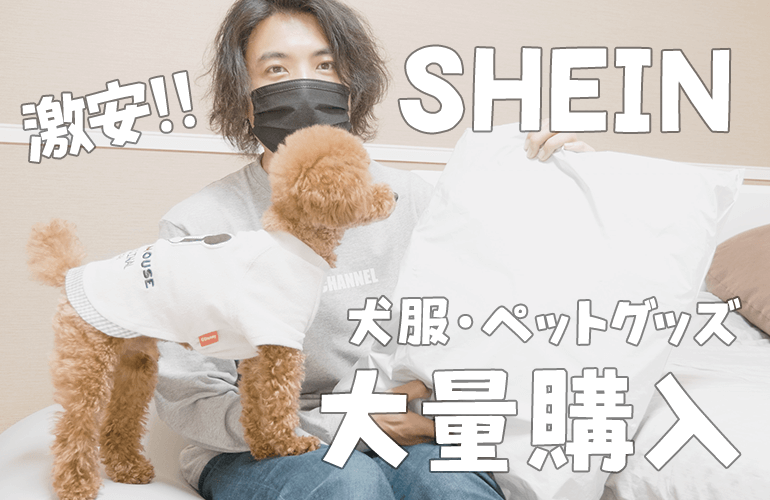 話題の海外激安通販サイトSHEINで犬服・ペット用品を大量購入してみたら最高すぎた！【トイプードル】