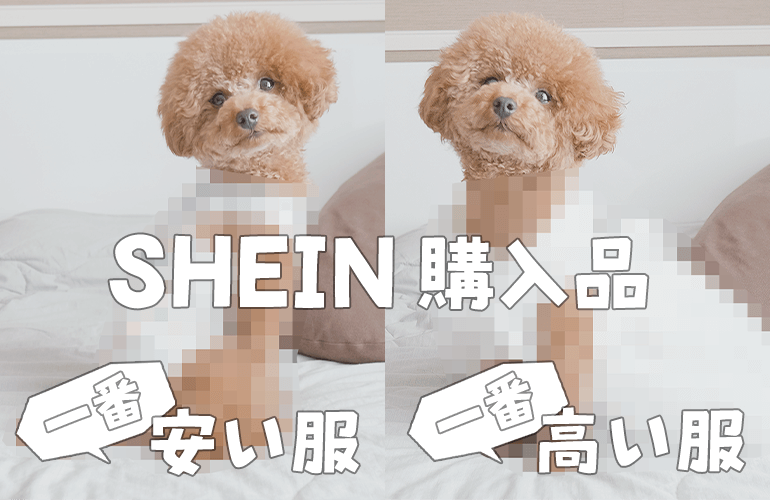 SHEINで一番安い犬服と一番高い犬服買ってみた【トイプードル】