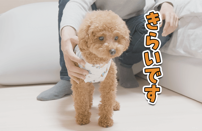 【悲報】愛犬に嫌われました…