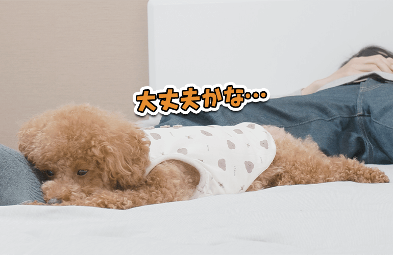 飼い主を心配してずっとそばにいてくれる犬