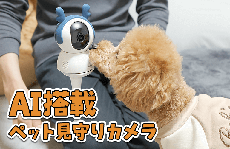 進化したAI搭載型ペット見守りカメラが凄すぎた！【SpotCam Mibo】
