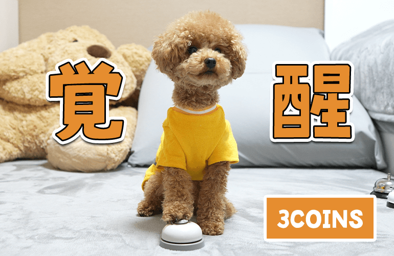 【3COINS】スリーコインズのベルで愛犬が覚醒したｗｗｗ