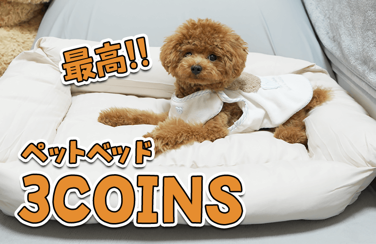 【3COINS】子犬にスリーコインズのペットベッドを買ってあげたら最高すぎた！