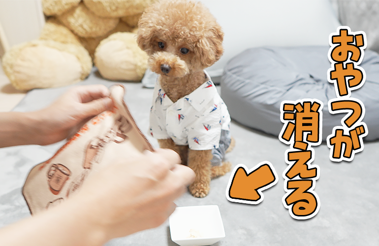 犬にオヤツが消えるマジックしてみた