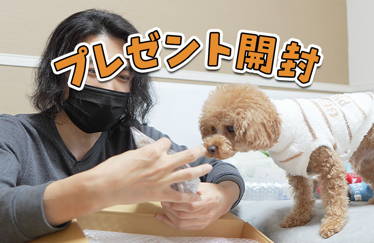 【感謝】視聴者さんから愛犬へのプレゼント開封！