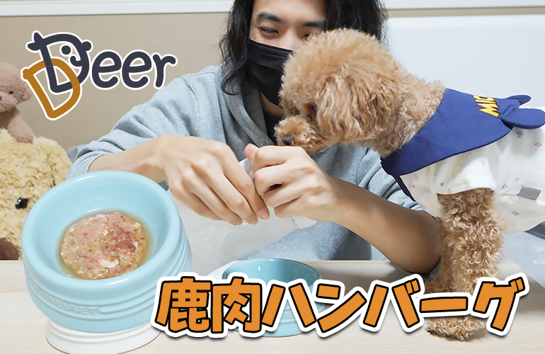 【Deer】犬用の鹿肉ハンバーグの食いつきがヤバすぎる！