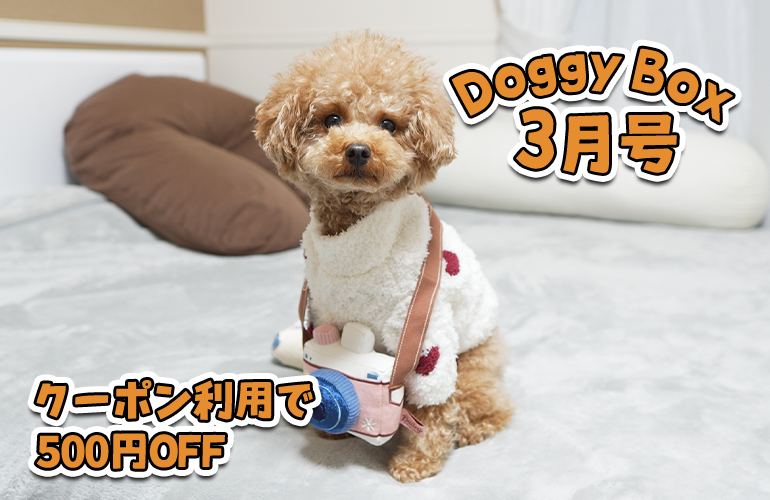 【ドギーボックス】お得なクーポンコードあり！愛犬の大好きな箱が届きました！