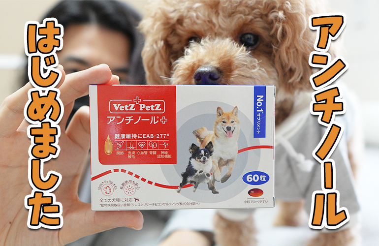 咳・パテラ予防に犬用サプリメント「アンチノール」をあげることにしました