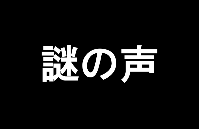 【心霊】動画の撮影中に謎の声が入っていたんだけど…