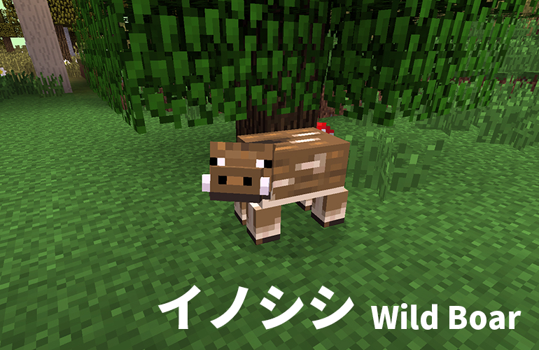 イノシシ(Wild Boar)