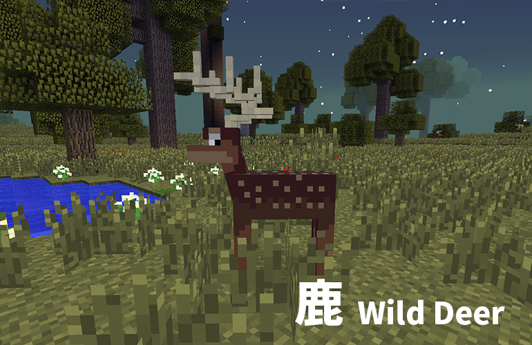 鹿(Wild Deer)